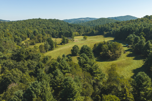 Large Recreational Tract for Sale in Bent Mountain VA