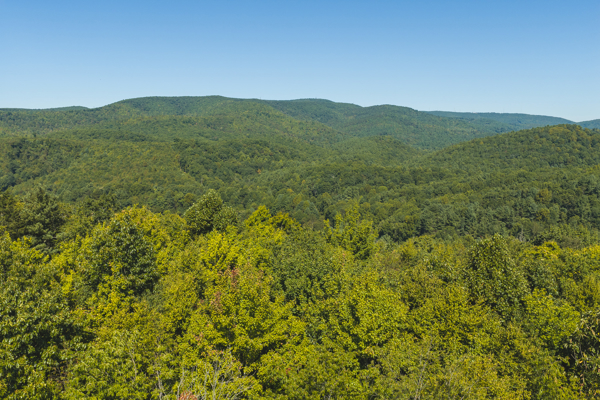 Large Recreational Tract for Sale in Bent Mountain VA