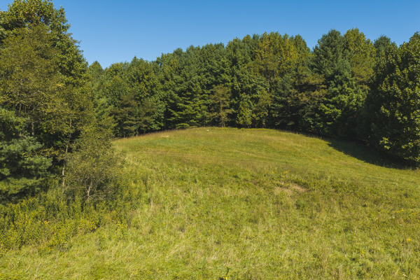 Large Recreational Tract for Sale in Bent Mountain VA