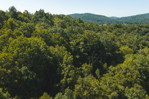 Large Recreational Tract for Sale in Bent Mountain VA