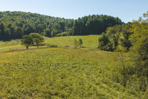 Large Recreational Tract for Sale in Bent Mountain VA