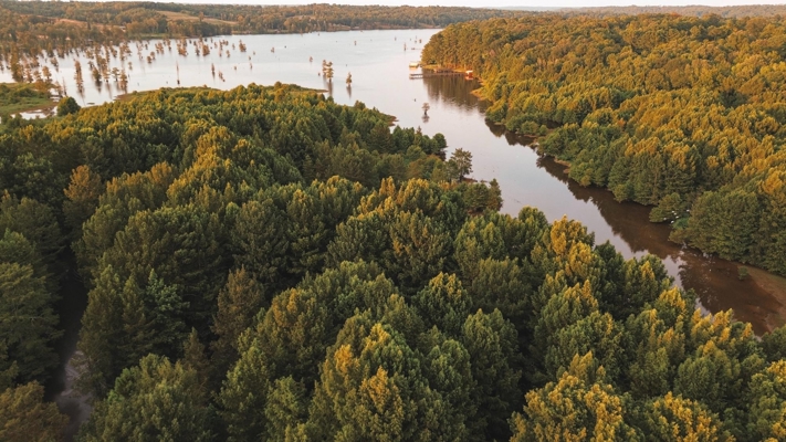 Lake D’Arbonne Waterfront Land for Sale