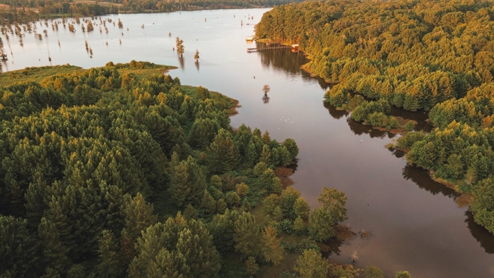Lake D’Arbonne Waterfront Land for Sale