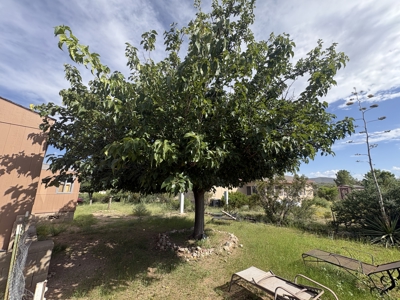 Home in Town For Sale in Tombstone, Arizona - image 32