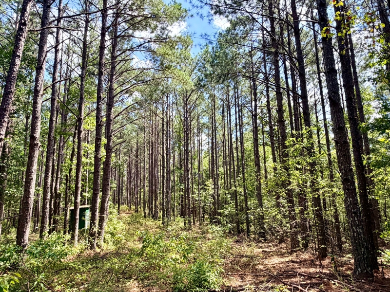 No Caption