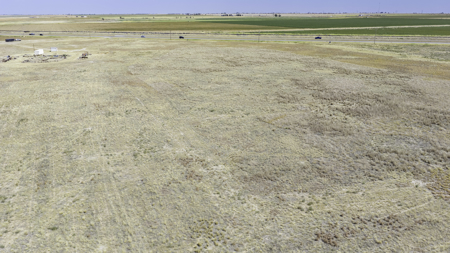Pecan Flat 16+/- Acres 4 miles NW of Shallowater, Texas - image 6