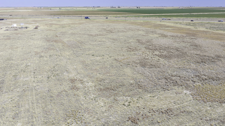 Pecan Flat 16+/- Acres 4 miles NW of Shallowater, Texas - image 7