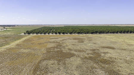 Pecan Flat 16+/- Acres 4 miles NW of Shallowater, Texas - image 11