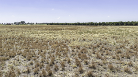 Pecan Flat 16+/- Acres 4 miles NW of Shallowater, Texas - image 9