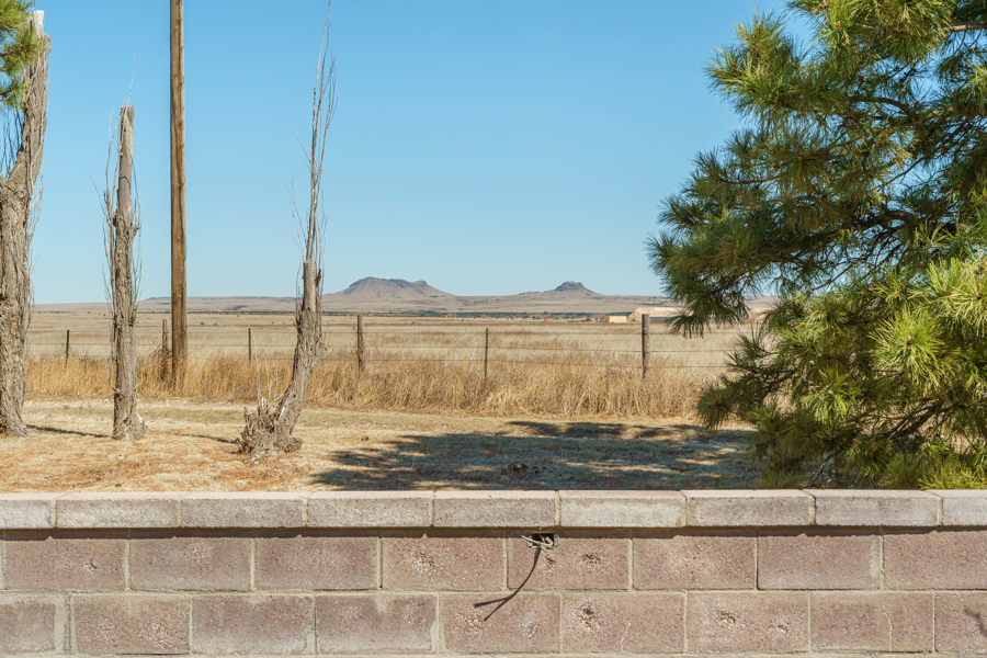 No Caption