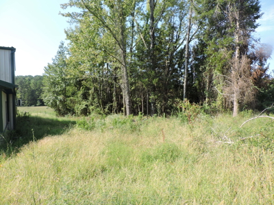 New Listing! 28.53 Acres With A 6,000 Sq. Ft. Unfinished Home! - image 17