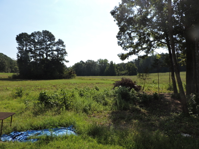 New Listing! 28.53 Acres With A 6,000 Sq. Ft. Unfinished Home! - image 14