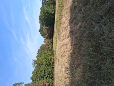 ±100 Acres Ranchland – Near Antlers & Hugo, Oklahoma - image 7