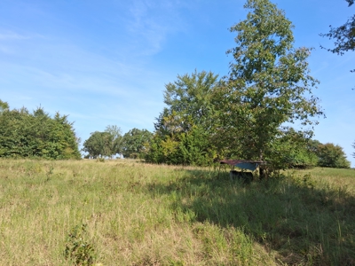 ±100 Acres Ranchland – Near Antlers & Hugo, Oklahoma - image 14