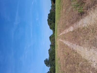 ±100 Acres Ranchland – Near Antlers & Hugo, Oklahoma - image 5