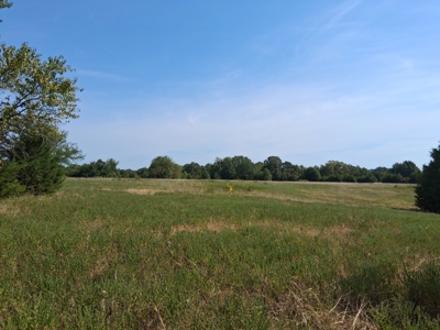 ±100 Acres Ranchland – Near Antlers & Hugo, Oklahoma - image 18