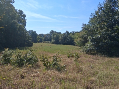 ±100 Acres Ranchland – Near Antlers & Hugo, Oklahoma - image 15