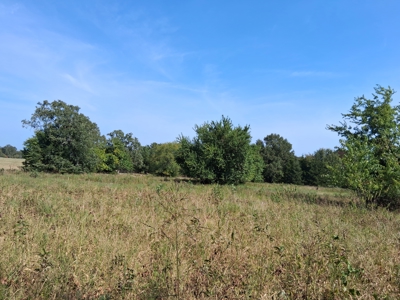 ±100 Acres Ranchland – Near Antlers & Hugo, Oklahoma - image 19