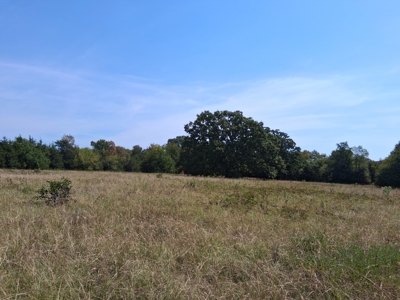 ±100 Acres Ranchland – Near Antlers & Hugo, Oklahoma - image 30