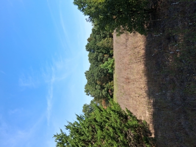 ±100 Acres Ranchland – Near Antlers & Hugo, Oklahoma - image 26