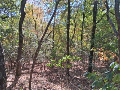 ±100 Acres Ranchland – Near Antlers & Hugo, Oklahoma - image 22