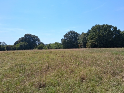 ±100 Acres Ranchland – Near Antlers & Hugo, Oklahoma - image 31