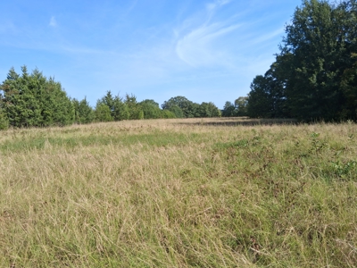 ±100 Acres Ranchland – Near Antlers & Hugo, Oklahoma - image 13