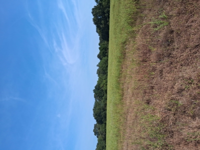 ±100 Acres Ranchland – Near Antlers & Hugo, Oklahoma - image 6