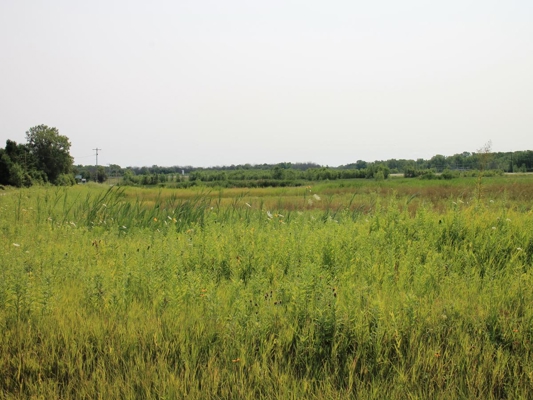 Discover this rare 5 acre development opportunity