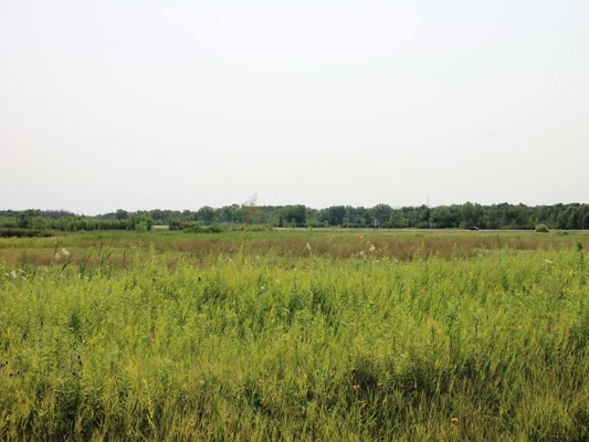 Discover this rare 5 acre development opportunity