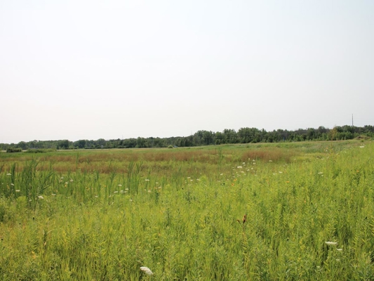 Discover this rare 5 acre development opportunity