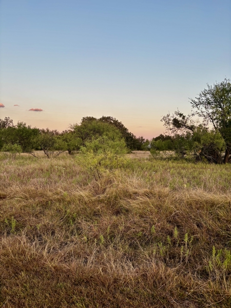 No Caption