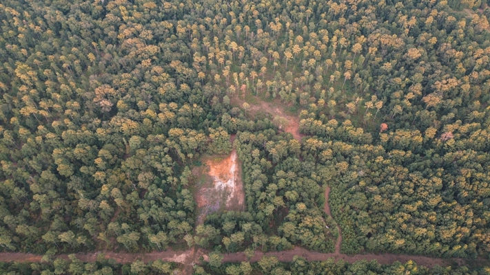 Affordable Union Parish Land for Sale