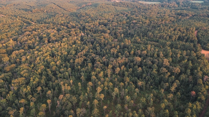 Affordable Union Parish Land for Sale