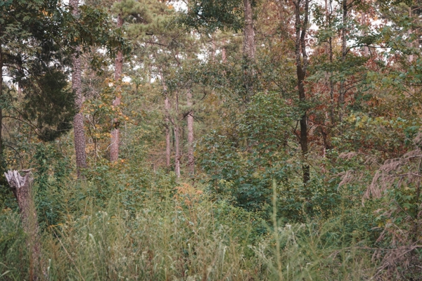 Affordable Union Parish Land for Sale