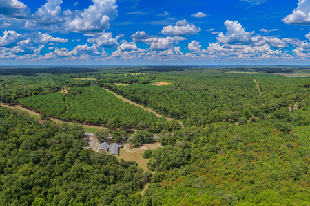 East Texas Ranch for Sale in Avinger, Cass County TX - image 17