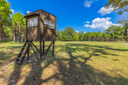 East Texas Ranch for Sale in Avinger, Cass County TX - image 11