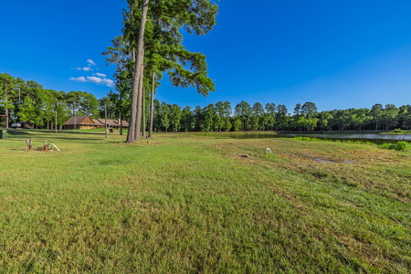East Texas Ranch for Sale in Avinger, Cass County TX - image 35