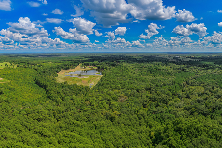 East Texas Ranch for Sale in Avinger, Cass County TX - image 19