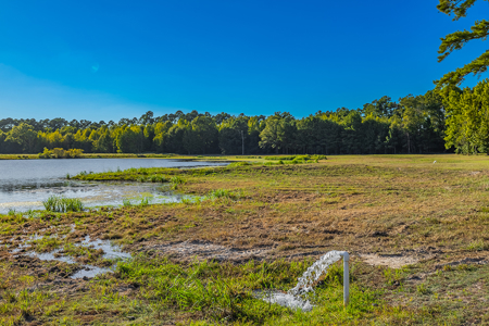 East Texas Ranch for Sale in Avinger, Cass County TX - image 34