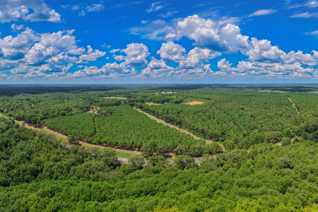 East Texas Ranch for Sale in Avinger, Cass County TX - image 18