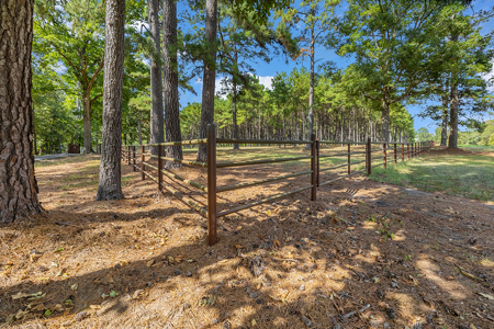 East Texas Ranch for Sale in Avinger, Cass County TX - image 10