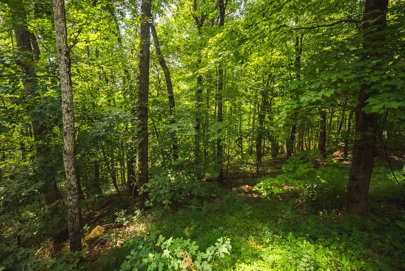 Listing 29