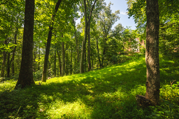 A-Frame Home for Sale in Bent Mountain VA