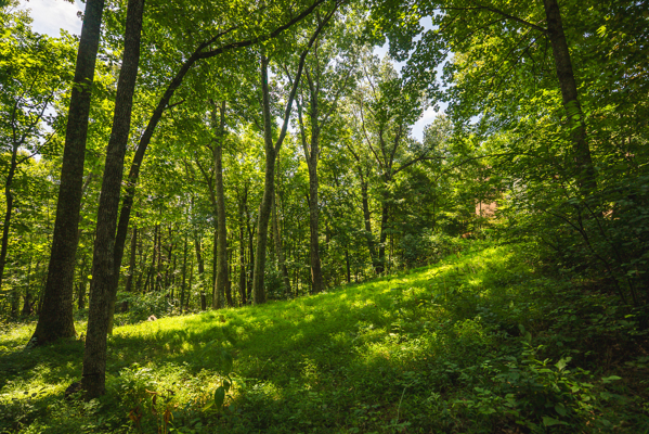 A-Frame Home for Sale in Bent Mountain VA