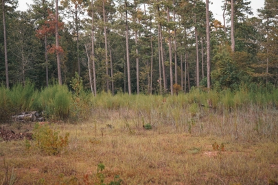 Listing 194