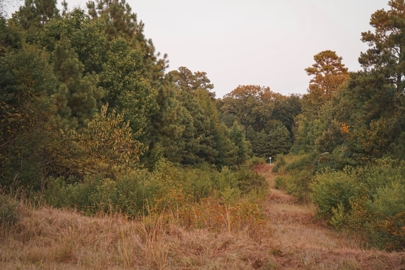 Listing 194