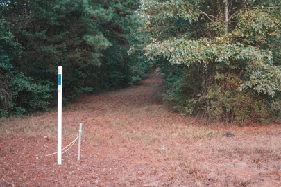 Listing 194