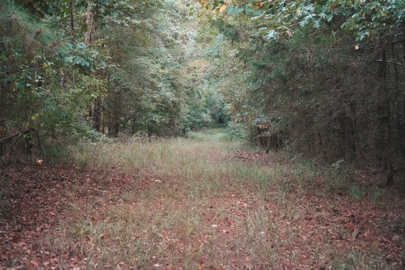 Listing 194
