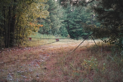 Listing 194